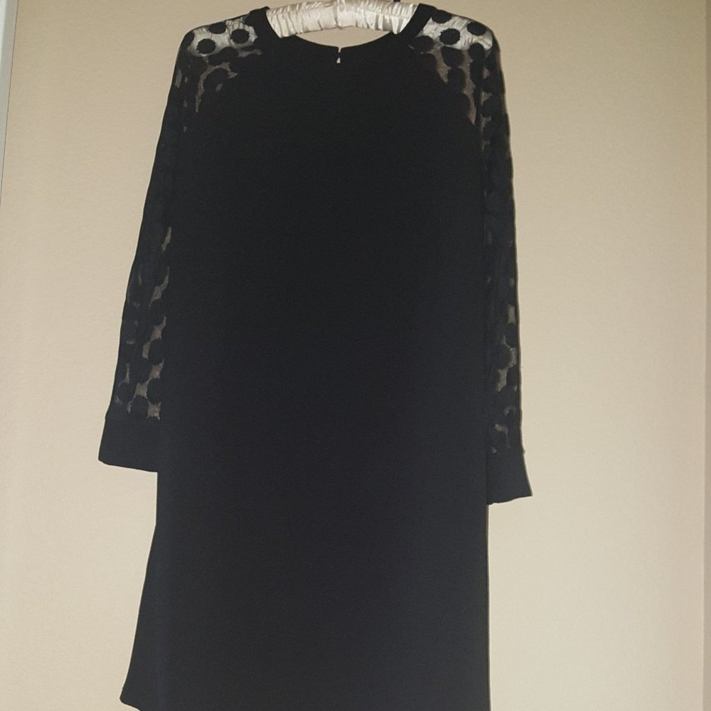Gorgeous Little Black dress